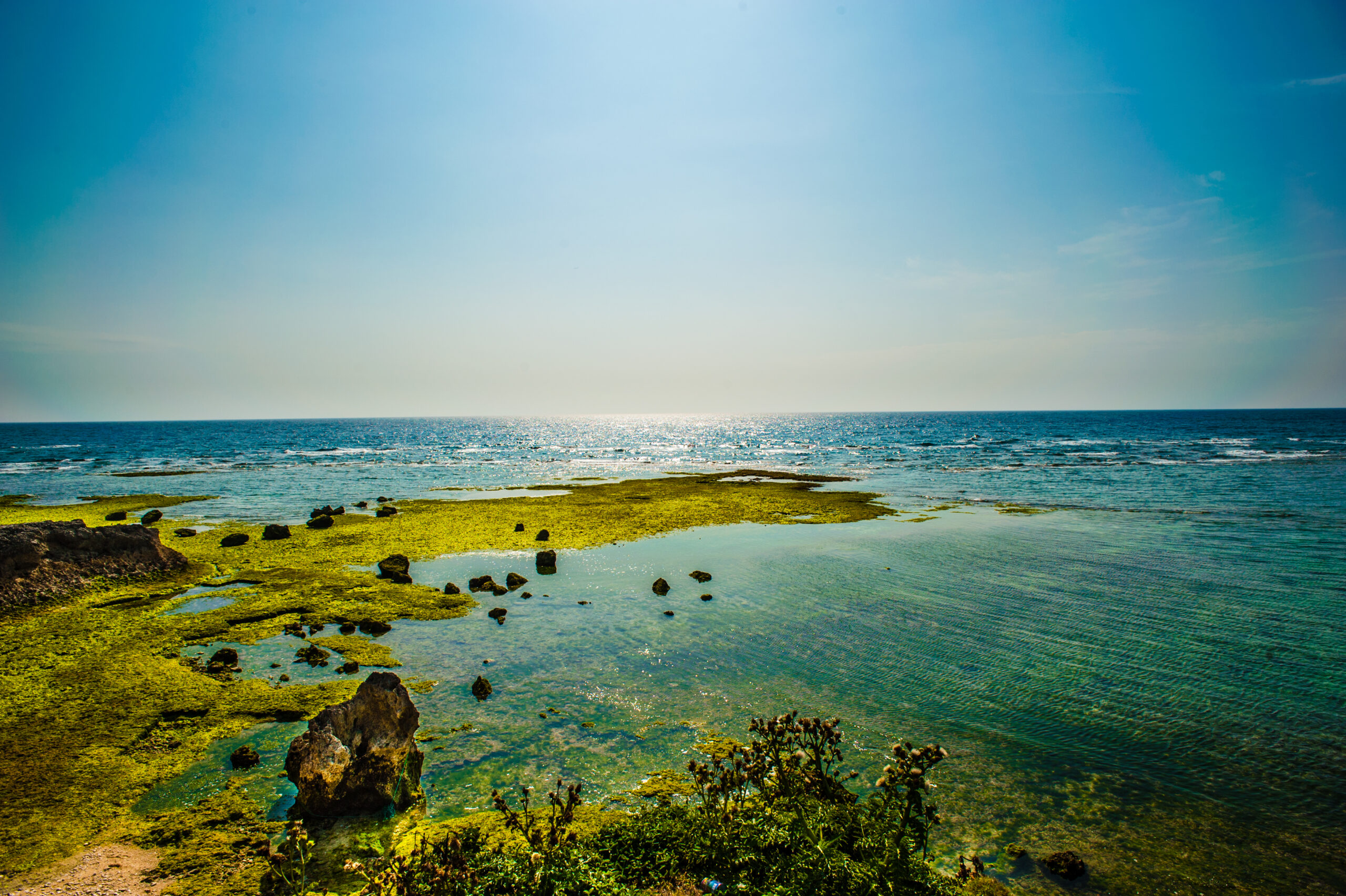 沖縄の海