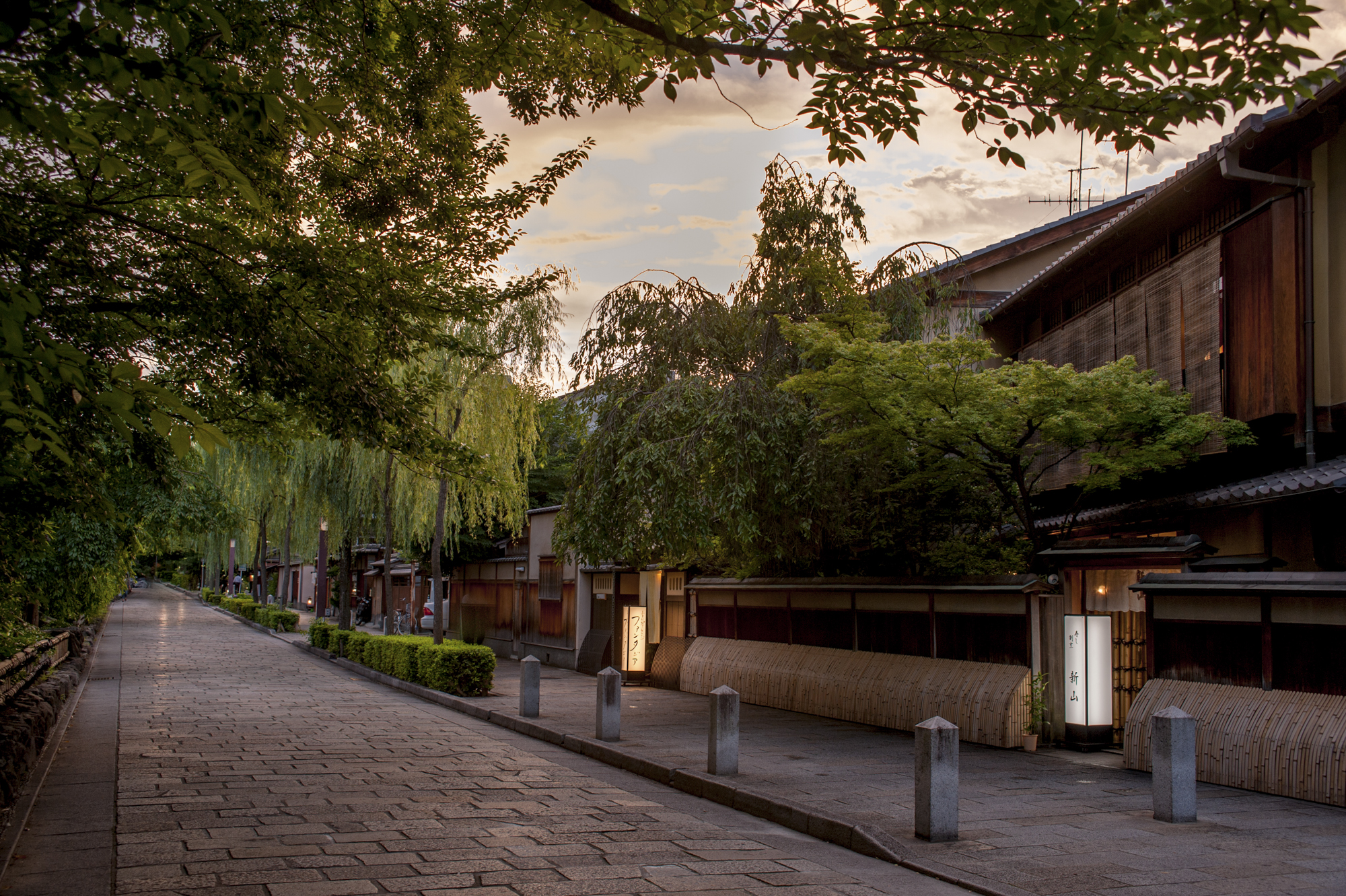 京都 祇園白川